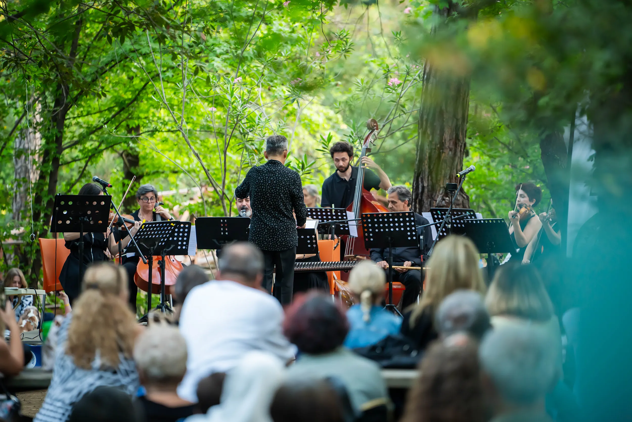 Ansambl_Genel-Gorunum